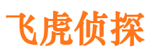 榕城市婚姻调查